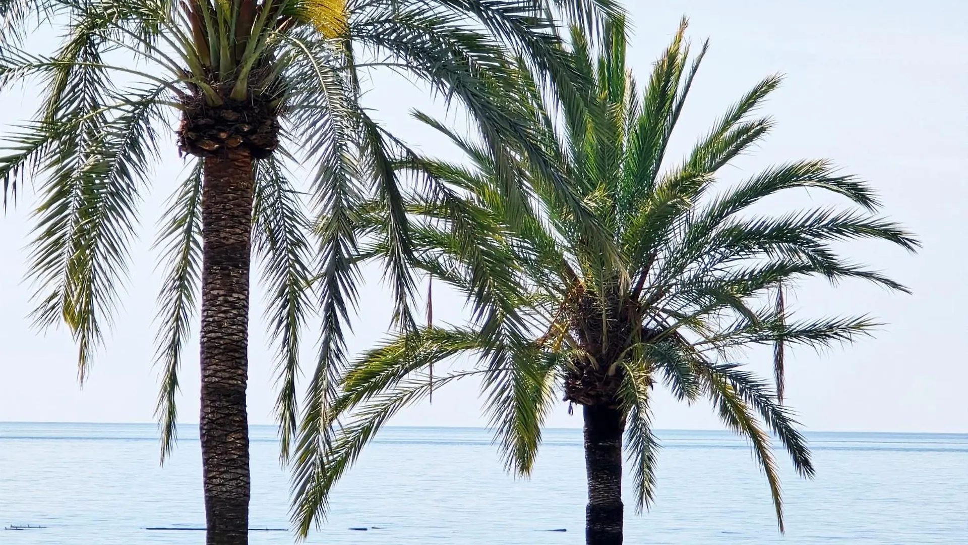Aa Guest - La Marina Sea Views Eco Apartment Marbella